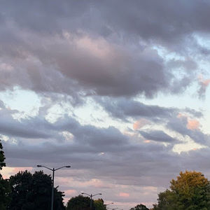 Meet your Posher, Oriana